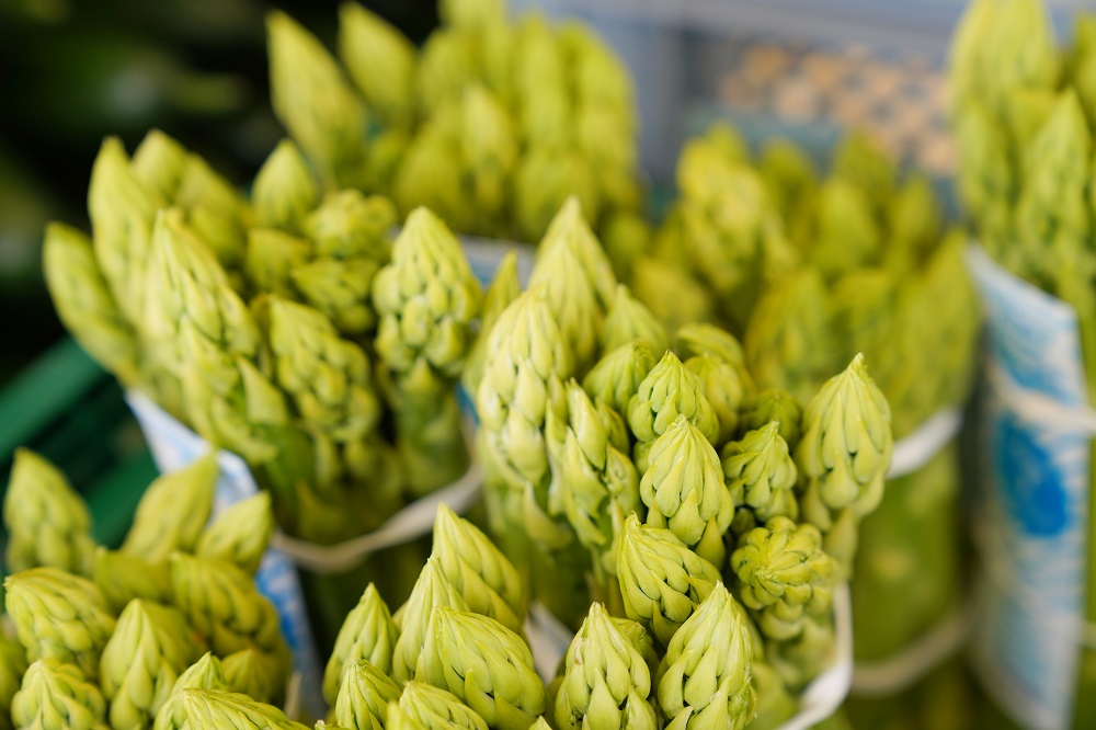 Spargel