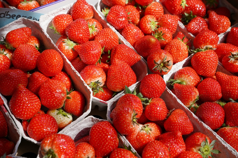 Erdbeeren